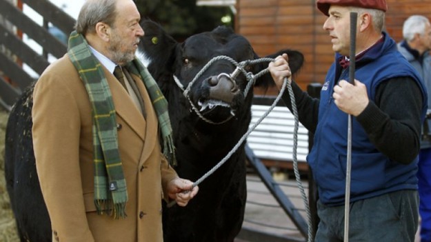 Exposicion Rural Palermo